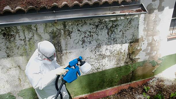 Trusted Mold Inspection service in Fleming Island, FL - Cheap Mold Removal